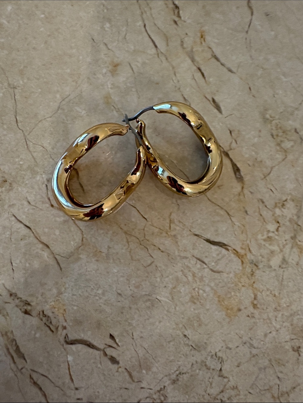 Jenny Bird Sculpted Gold Oval Hoop Earrings